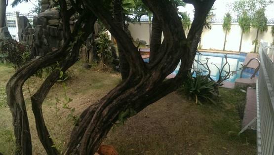 villa for rent in thao dien district 2 d2200100 (2)